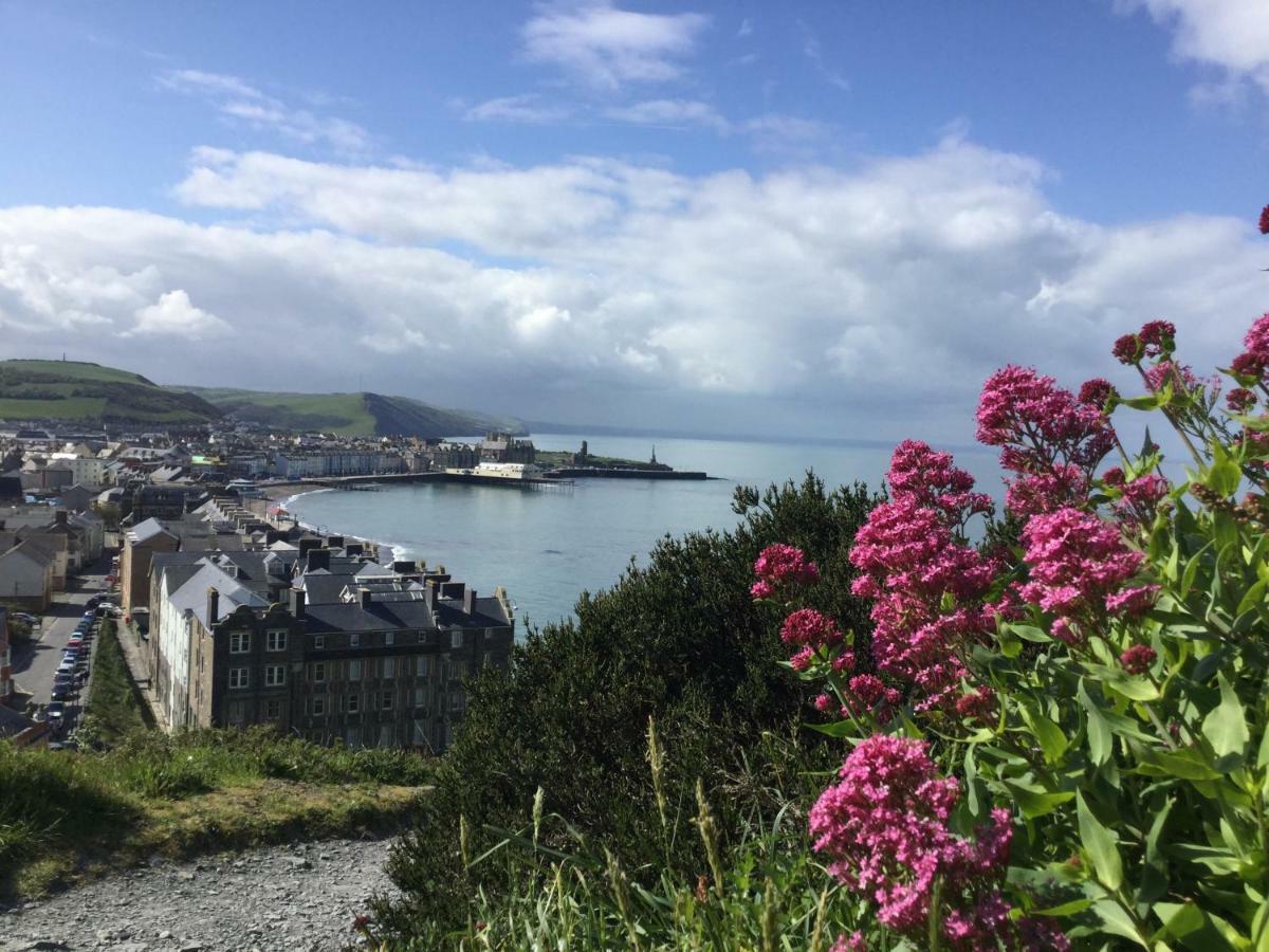 Cardigan Bay Self Catering Accommodation Aberystwyth Buitenkant foto